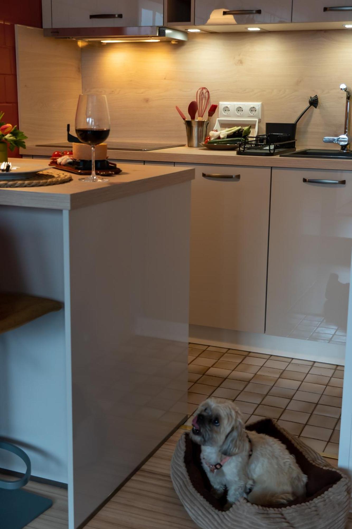 בראונלאגה Fewo Harzer Weitblick, Hunde Willkommen, W-Lan, 2X Smart Tv, Dtv 4 Sterne, 4 Pfoten מראה חיצוני תמונה