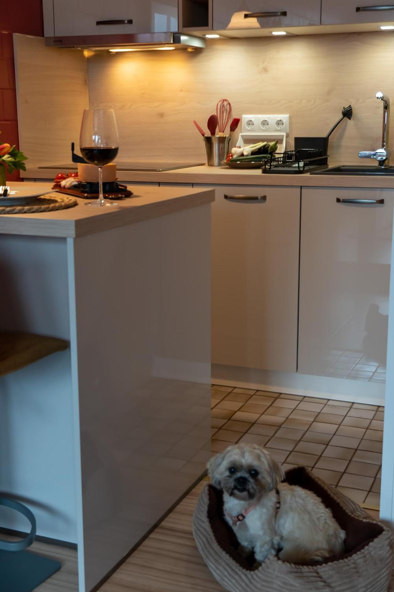 בראונלאגה Fewo Harzer Weitblick, Hunde Willkommen, W-Lan, 2X Smart Tv, Dtv 4 Sterne, 4 Pfoten מראה חיצוני תמונה